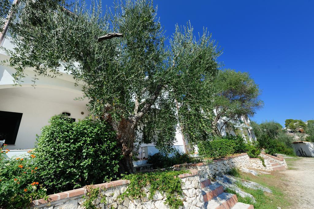 Baia Degli Aranci Suite & Apartments Vieste Exterior photo